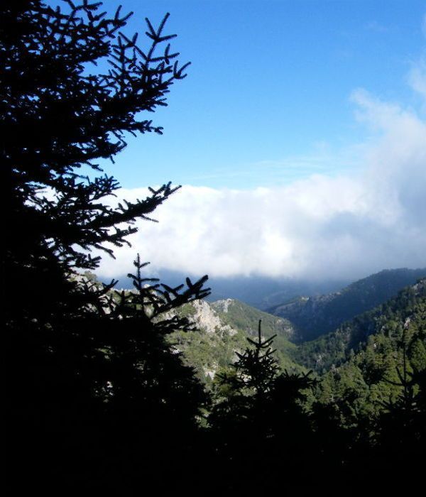 Ascensión al Torrecilla